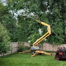 Best Lawn Mowing  in Monsey, NY
