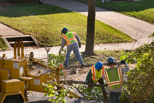 Best Pest Control for Lawns  in Monsey, NY