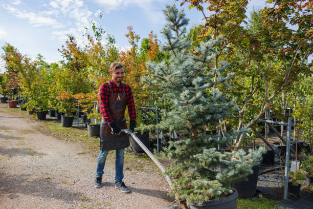 Best Tree Trimming and Pruning  in Monsey, NY