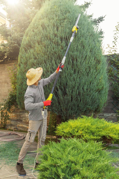 Best Utility Line Clearance  in Monsey, NY
